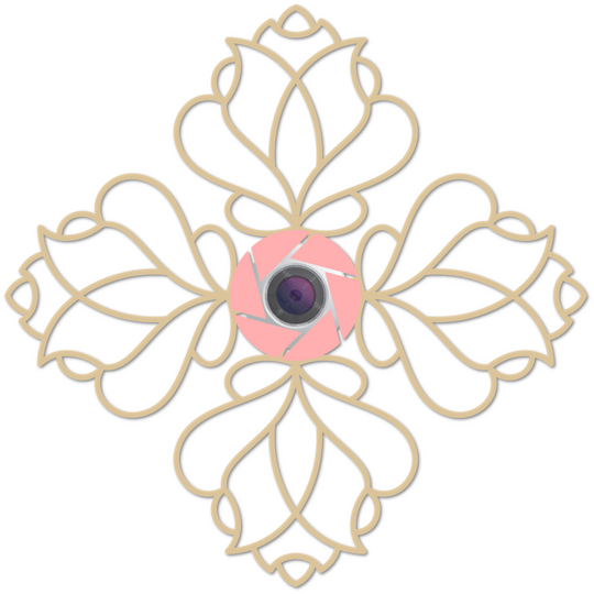 I Capture Picture Photography Logo ©